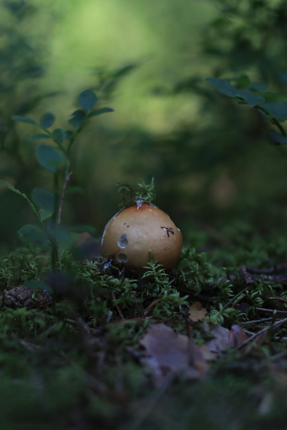 Photo #13798031