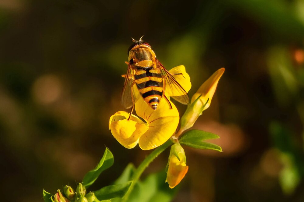 Photograph by Юрий Десятов