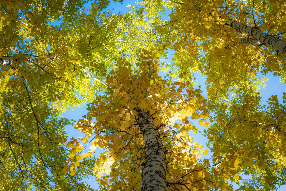 Photograph by Власов Андрей