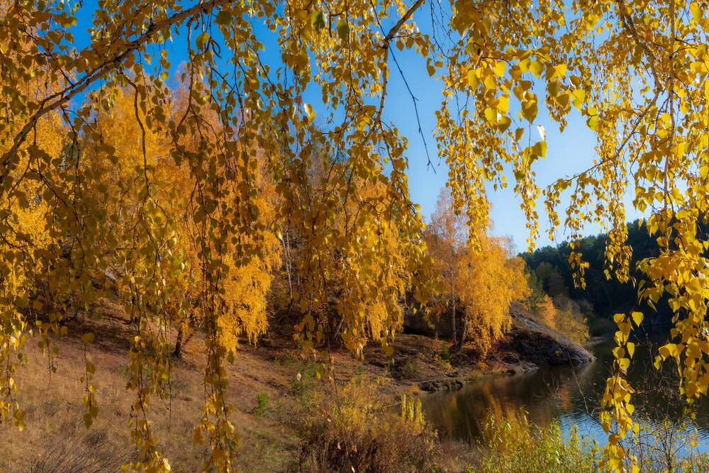 Photograph by Власов Андрей