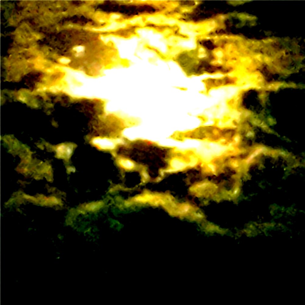 moonlight