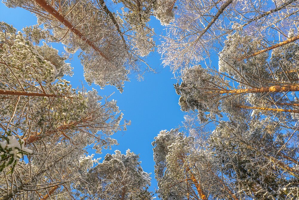 Photograph by Иван Жуков