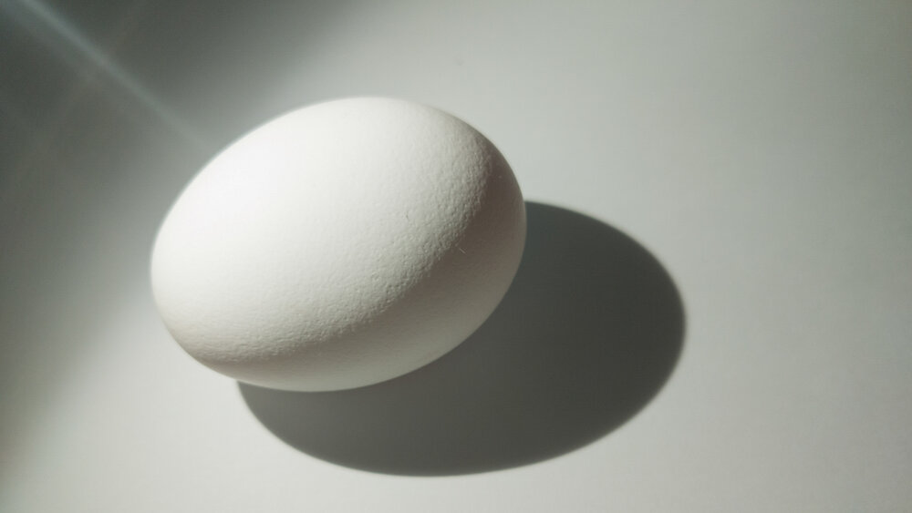 Flying egg
