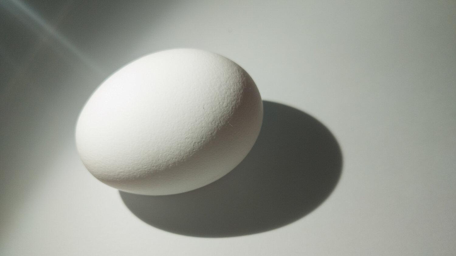Flying egg