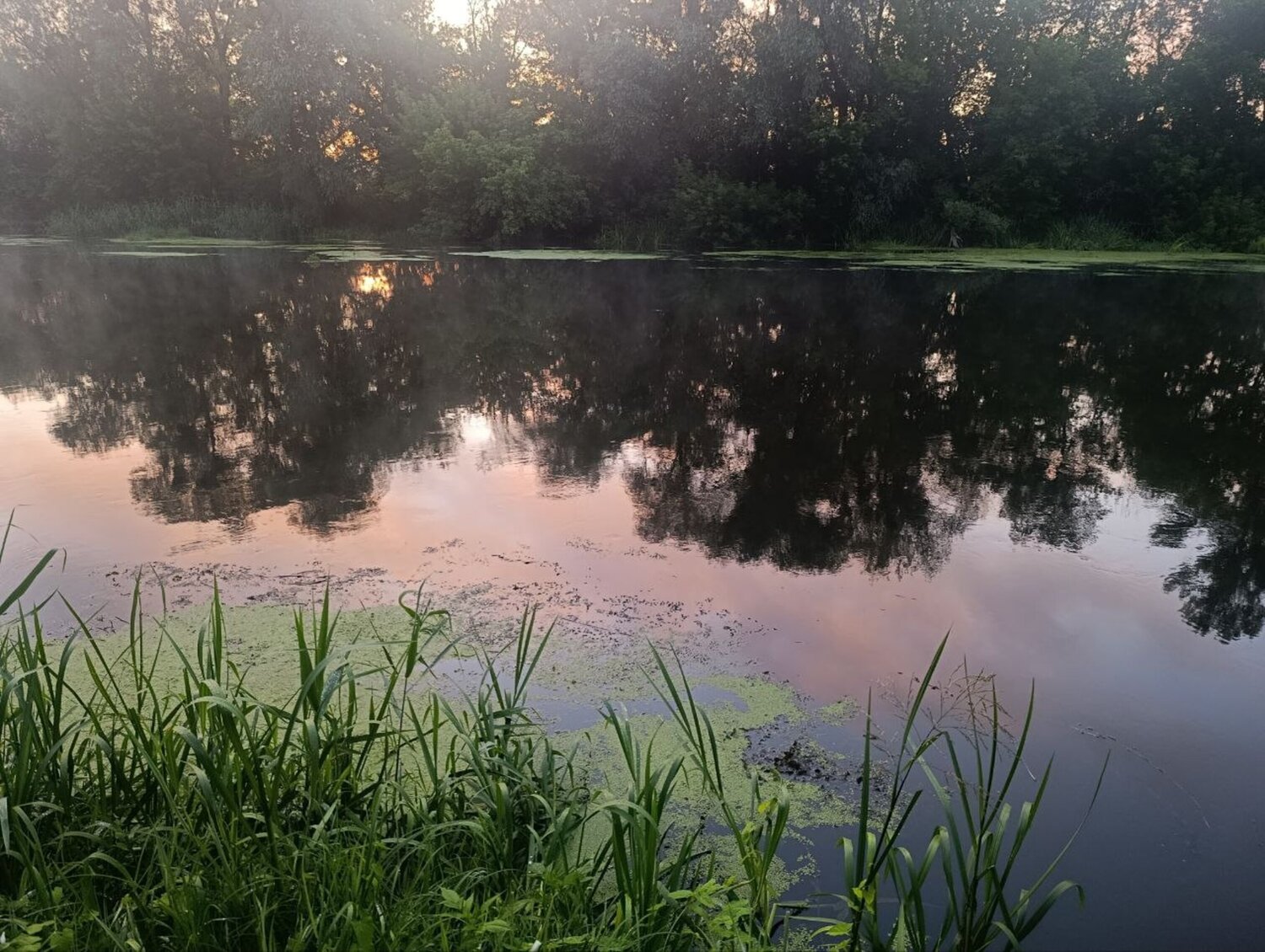 Reflections of Silence