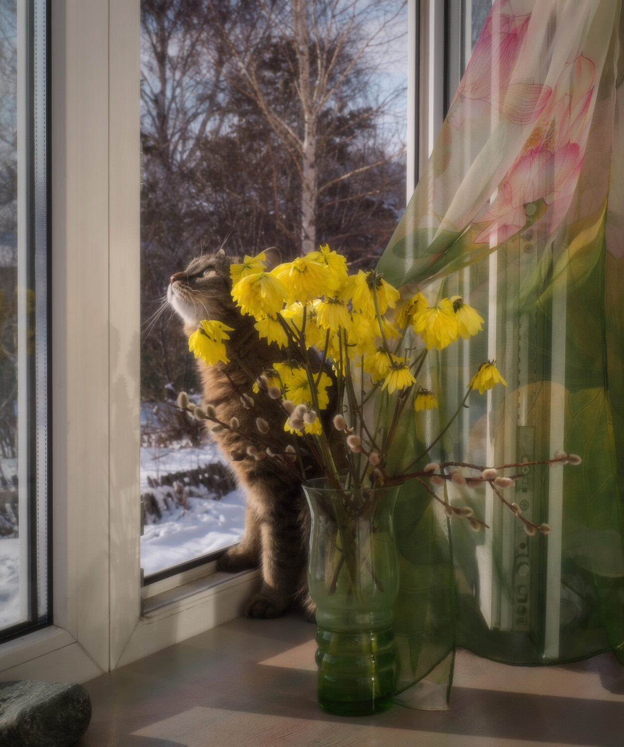 Photo #13798156