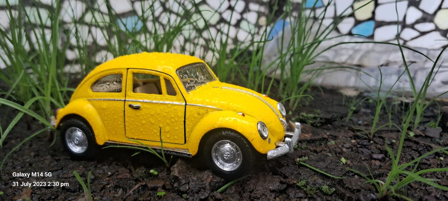 Photo #13798215