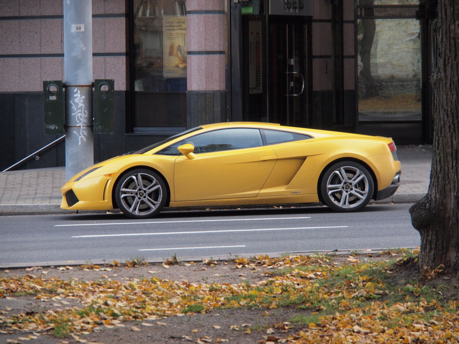 Photo #13798233