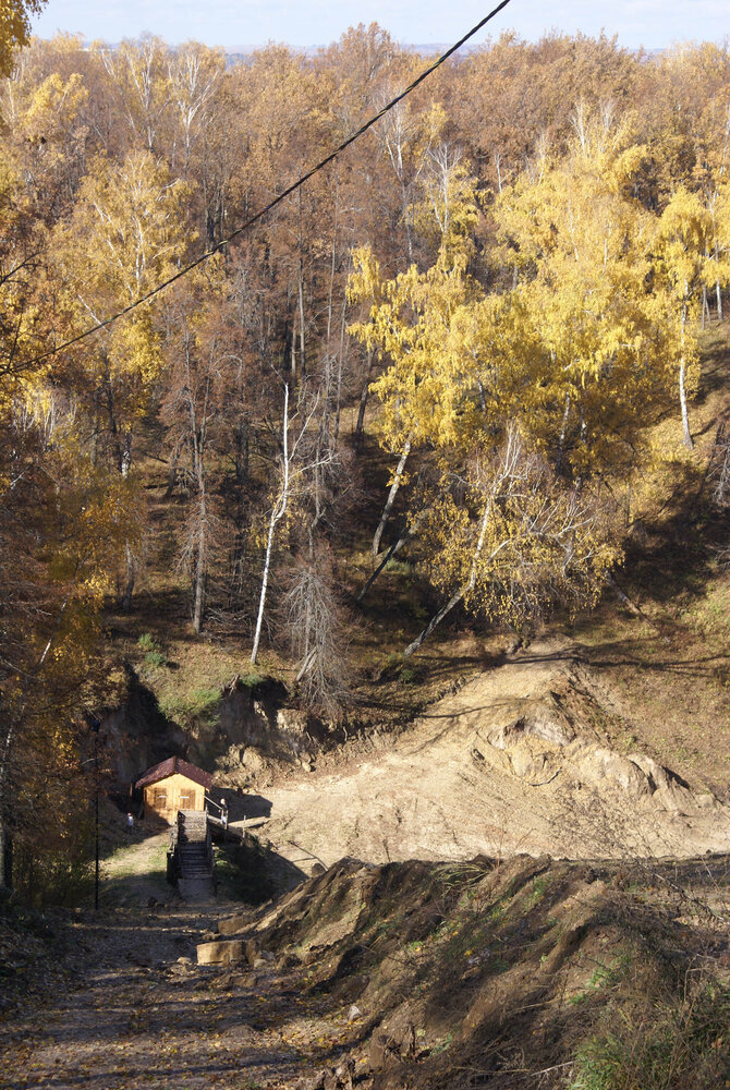 Photograph by Игорь Пшеничников