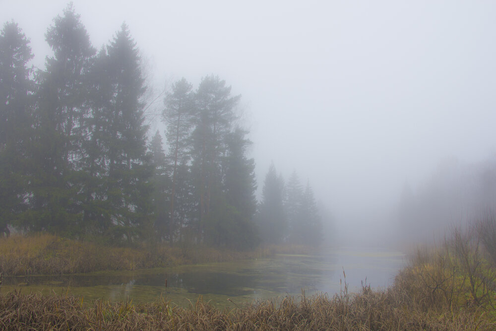 Photograph by Юрий Баженов