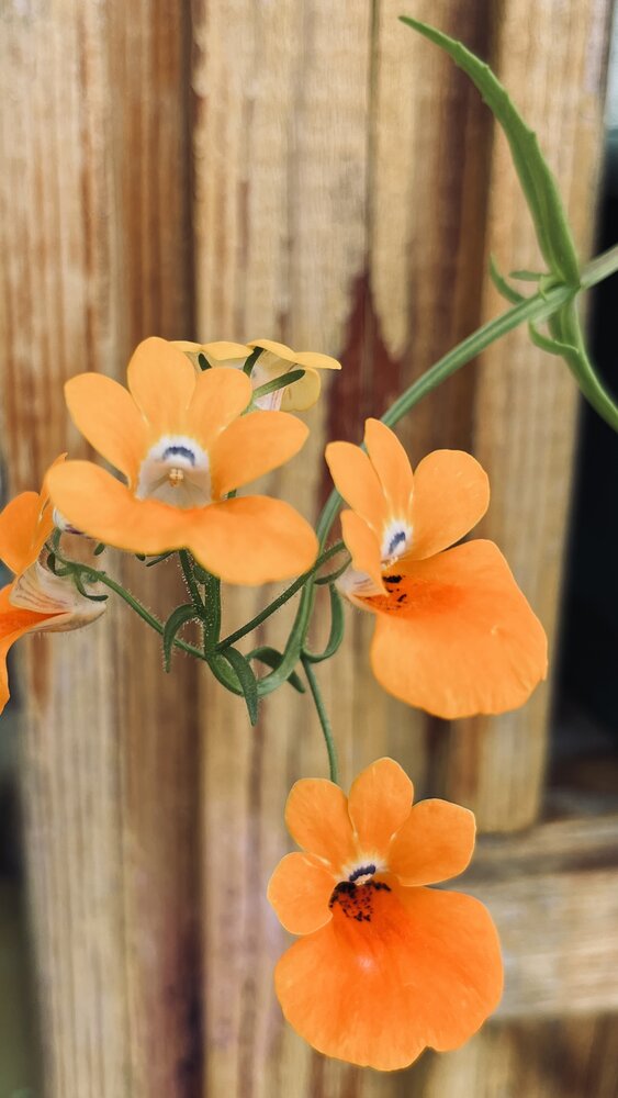 Photograph by Екатерина Усольцева