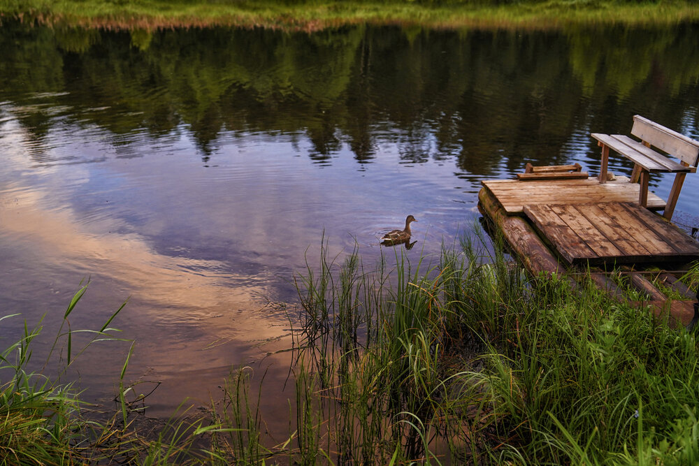 Photograph by Елена Суворова