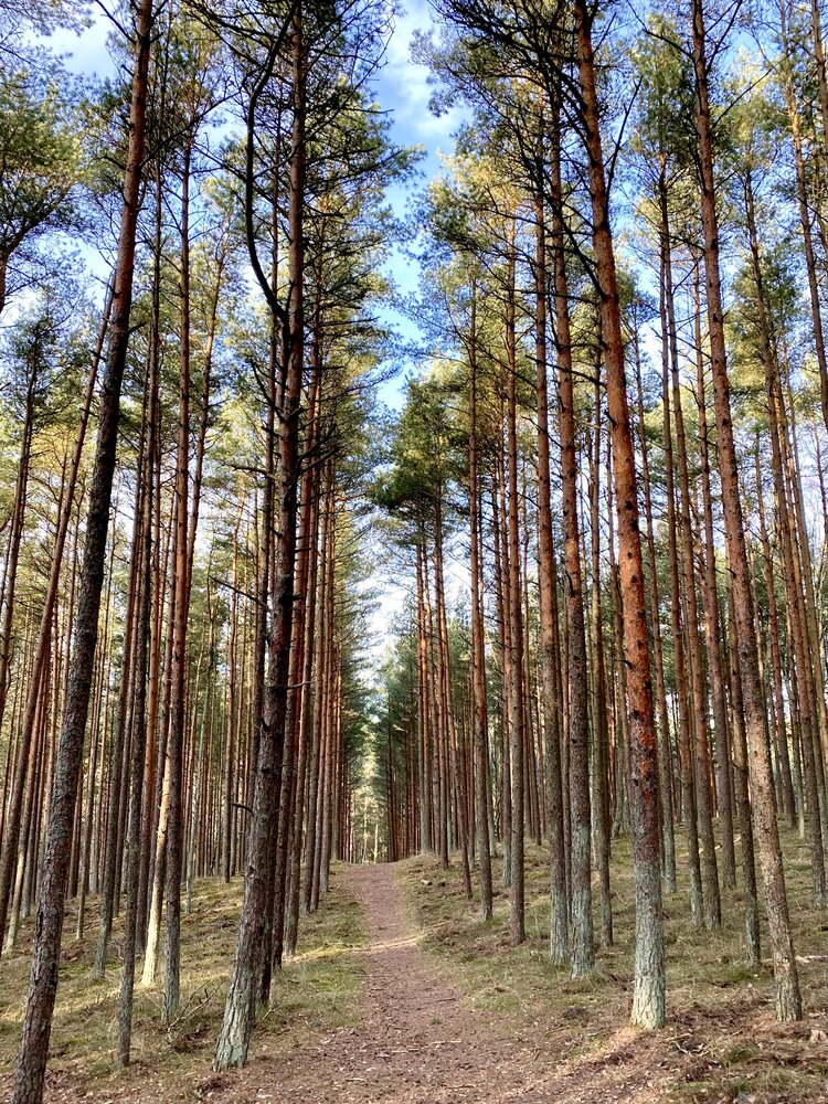 Photograph by Мария Якубовская