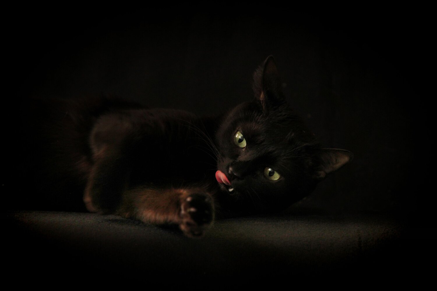 Suri
