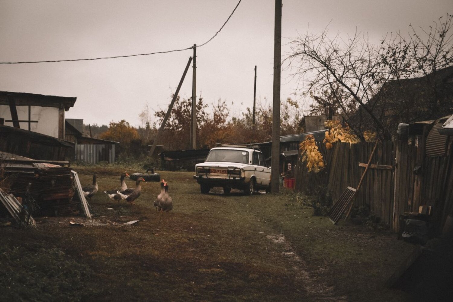 Photo #13798814