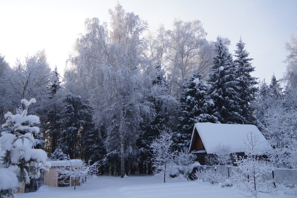 Photo #13798848