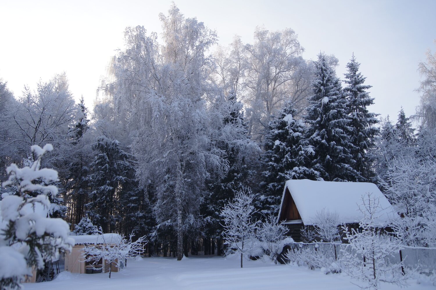 Photo #13798848