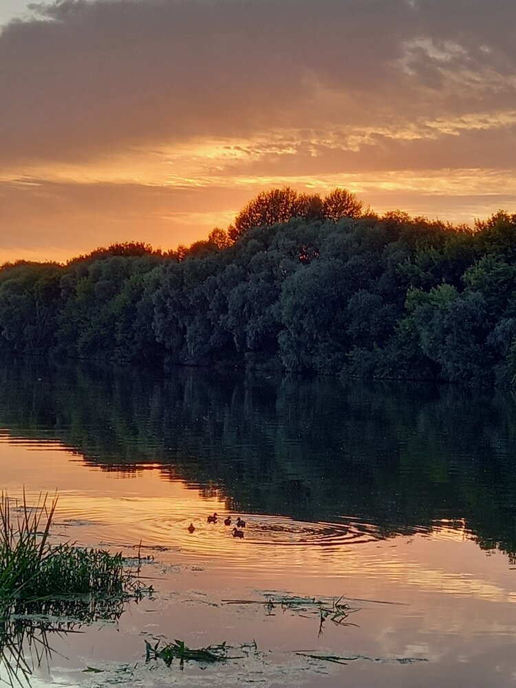 Photograph by Маргарита Валерьевна