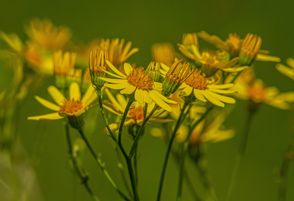 Photograph by Николай Абакумов