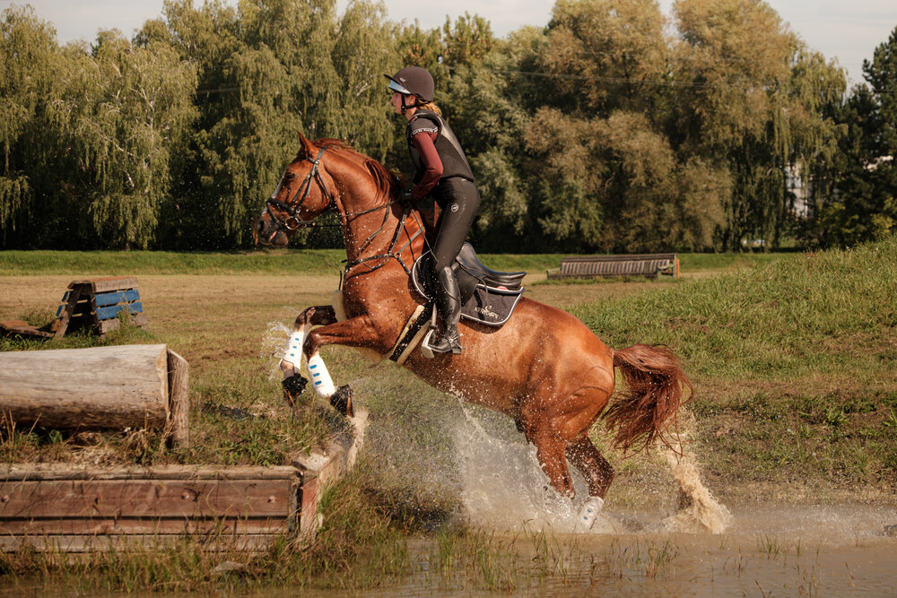 Photo #13798907
