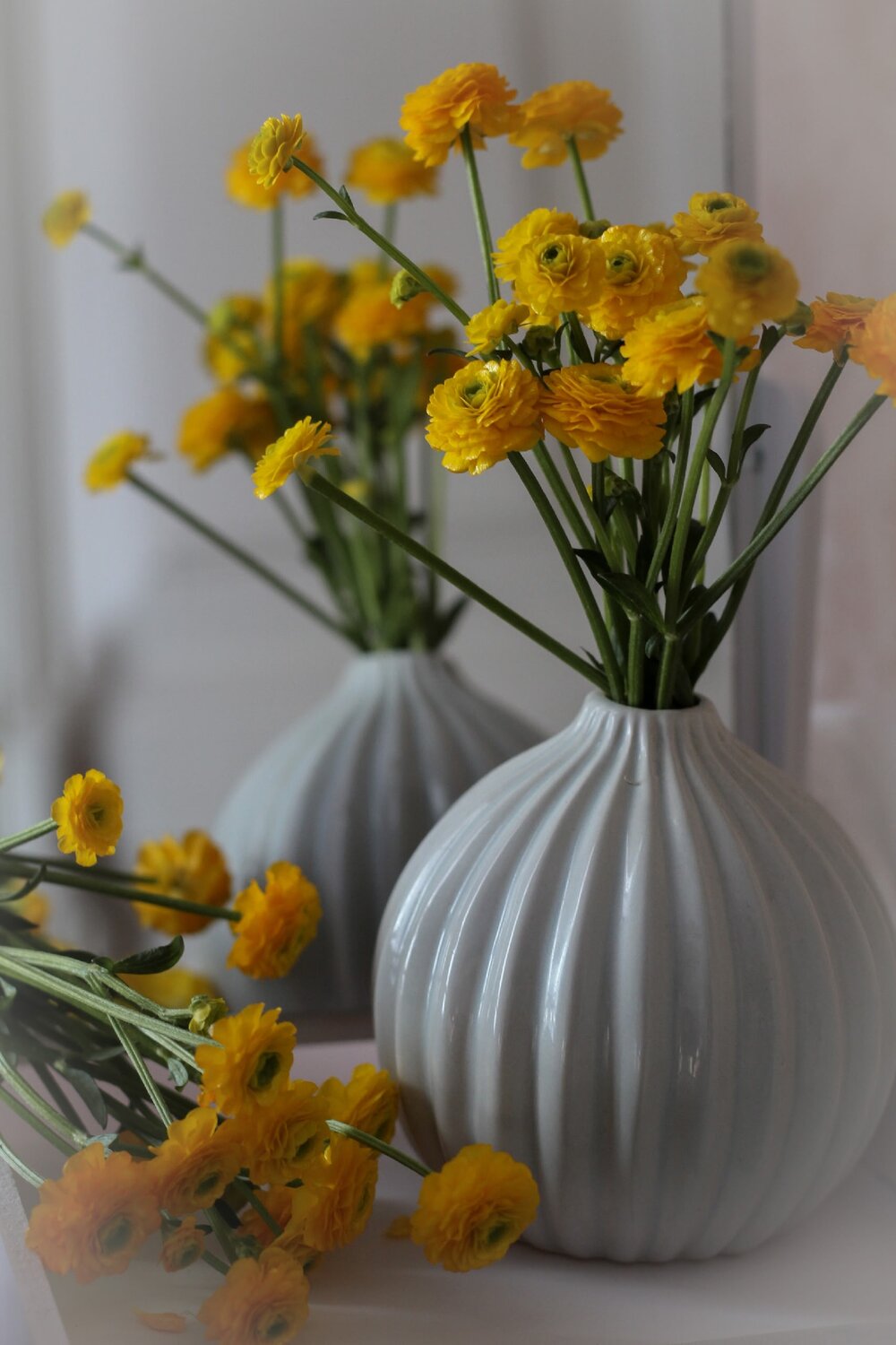 Photo #13798915