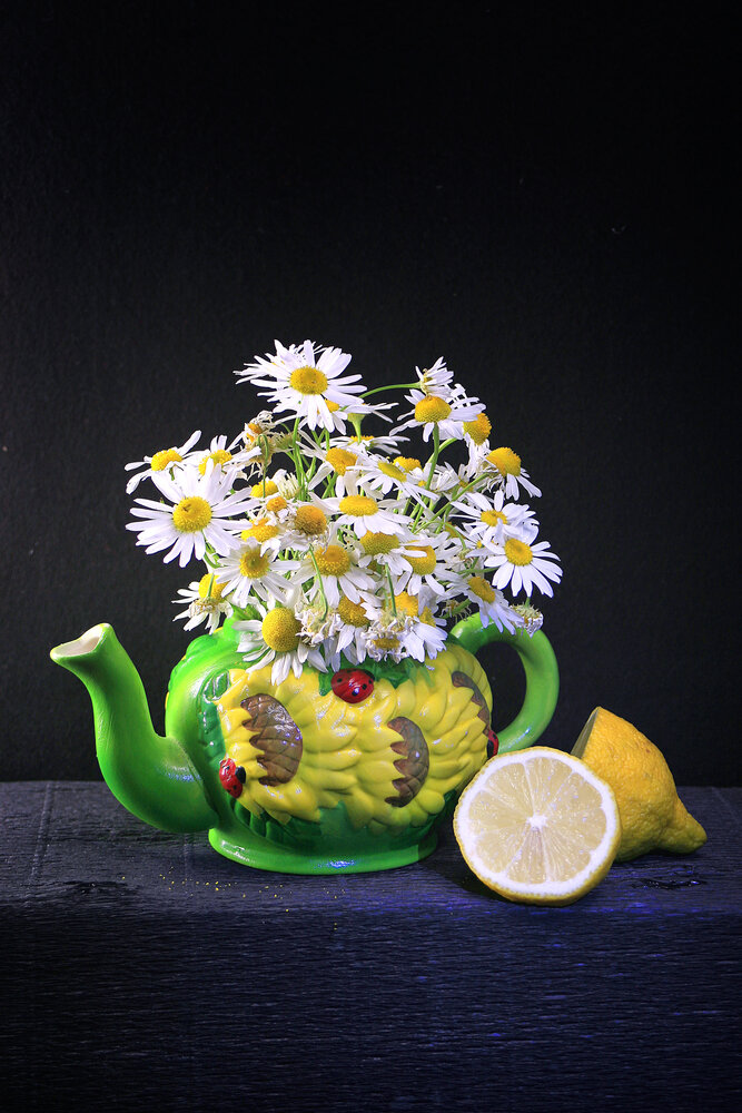 Photograph by Vitaliy Saposhnikov