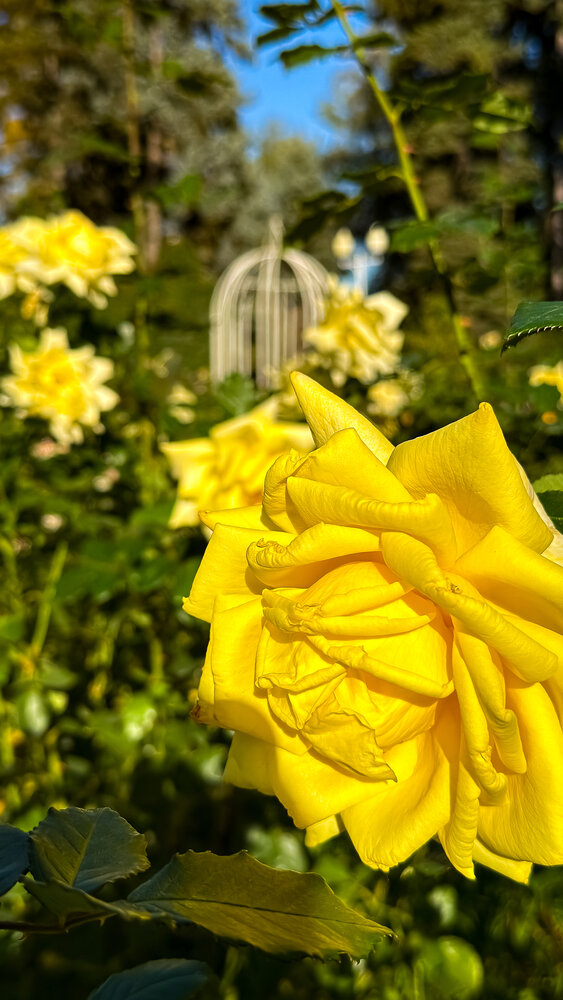 Photograph by Елизавета Синицына