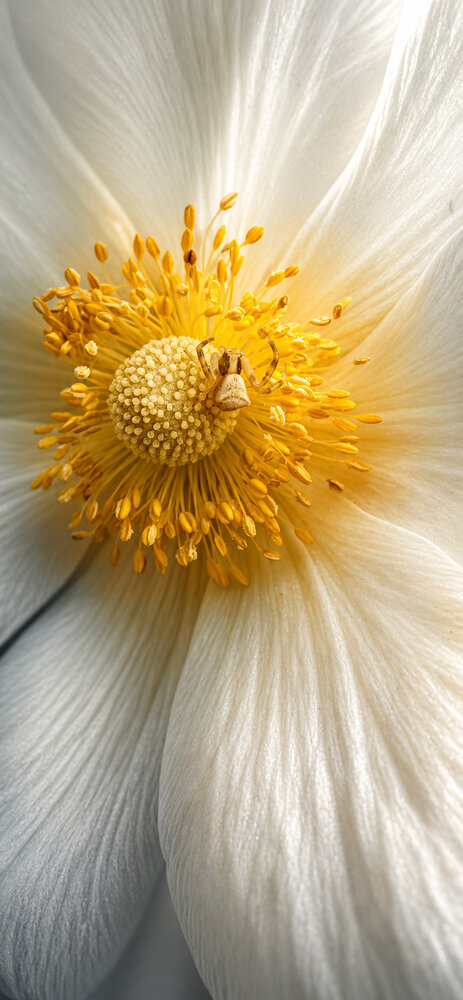 Photograph by Vesi Petrova