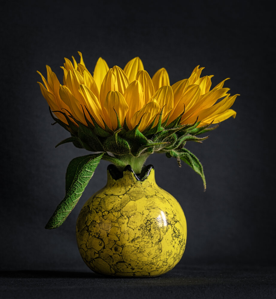 Photograph by Irina Ostapenko (Nepavlova)