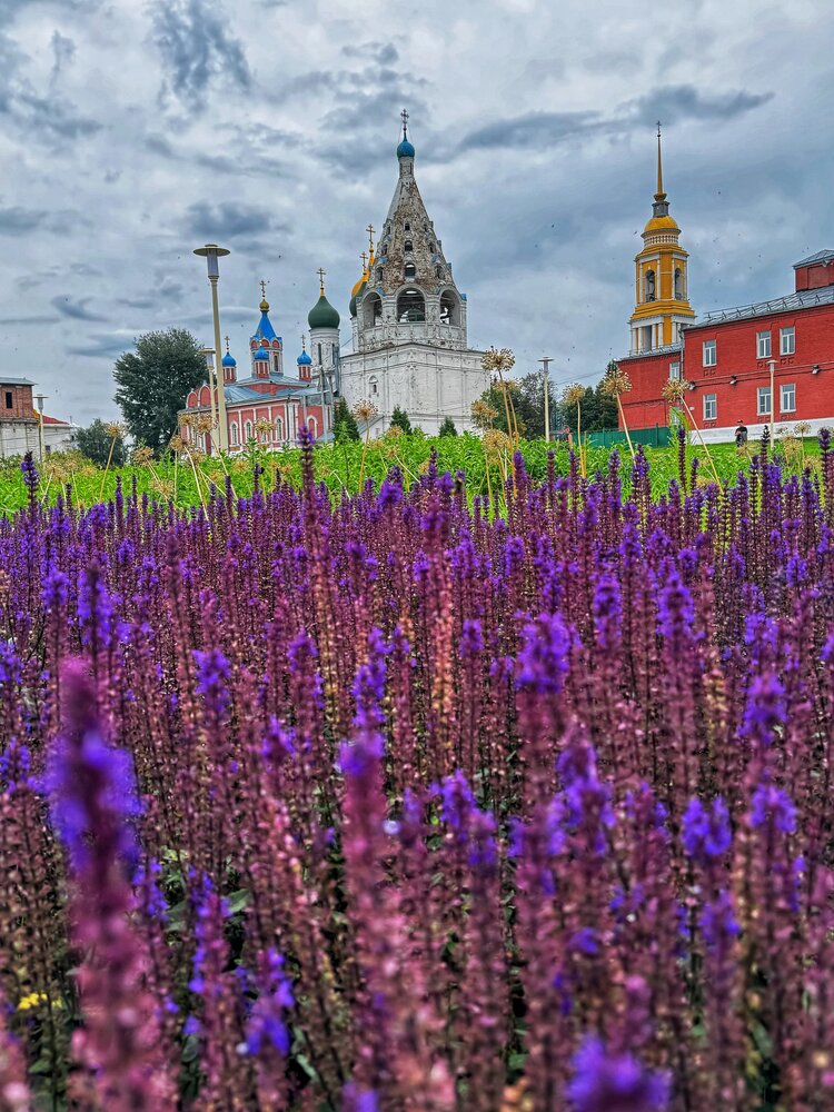 Деревенский пейзаж
