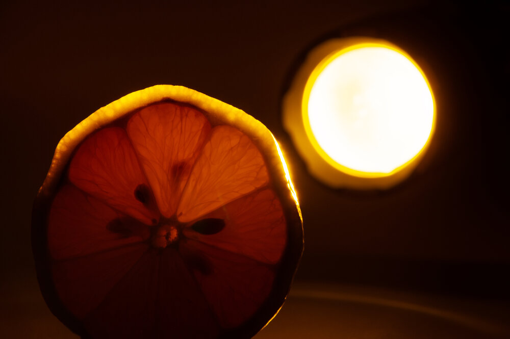 Photo #13799025