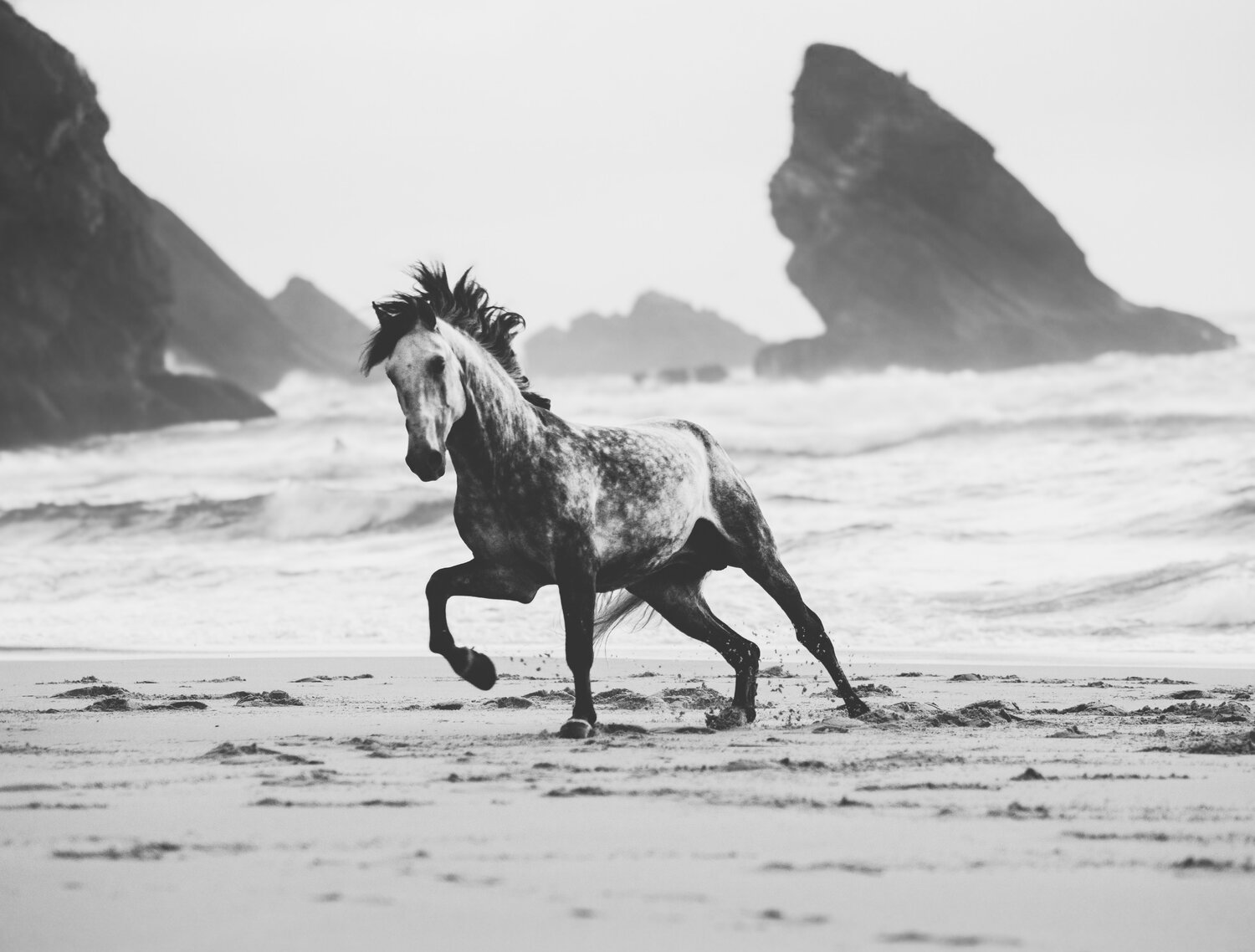 Photo #13799034