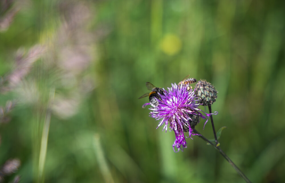 Photograph by Сергей Викторович