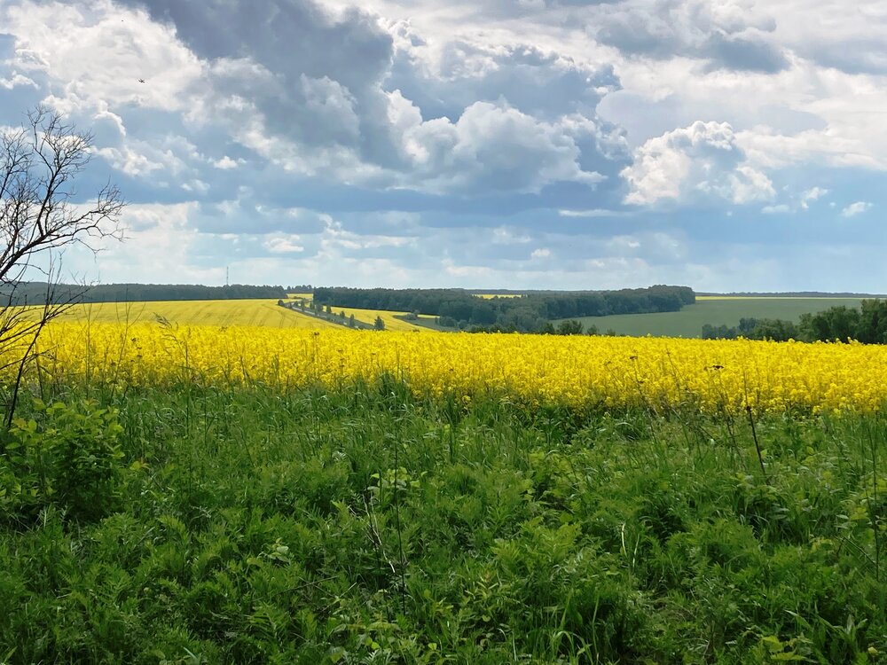 Photograph by Светлана Парамонова