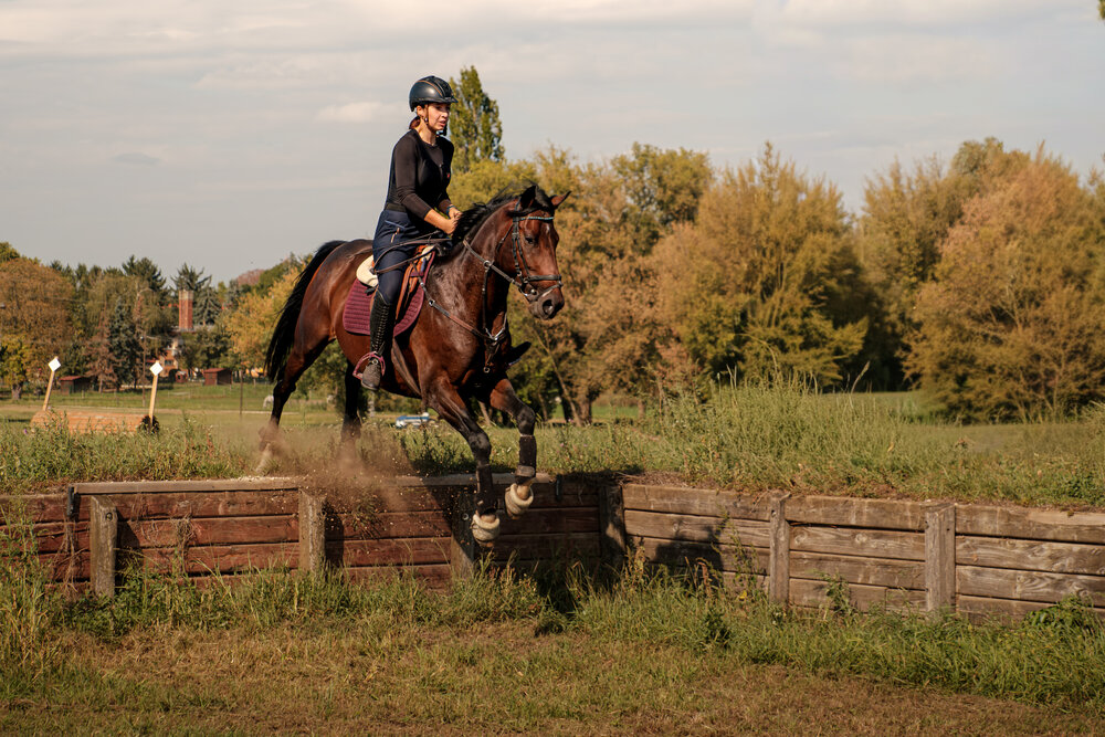 Photo #13799070