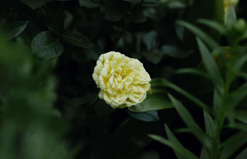 Photograph by Виталий Потапенок