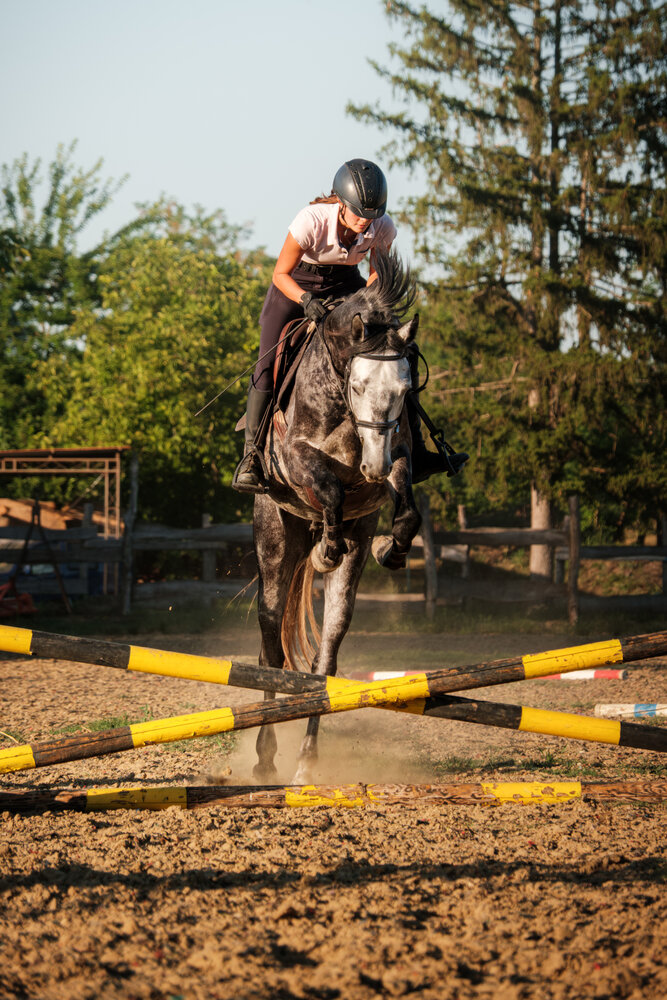 Photo #13799086