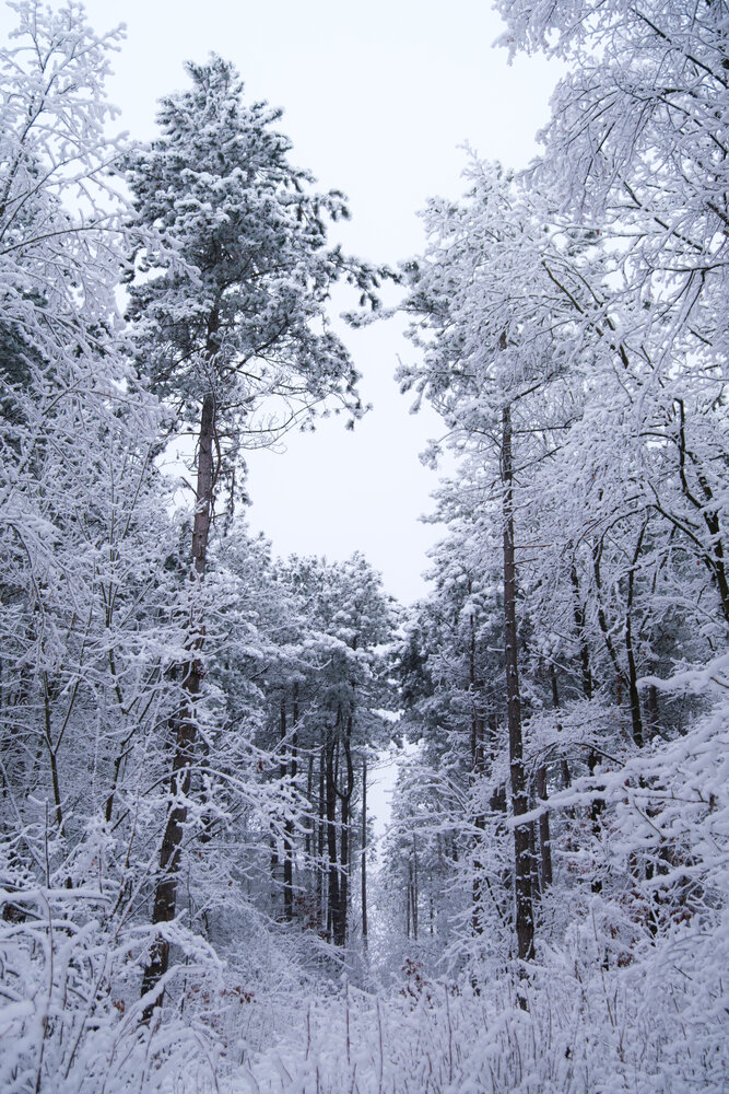 Photograph by Veronika Biró
