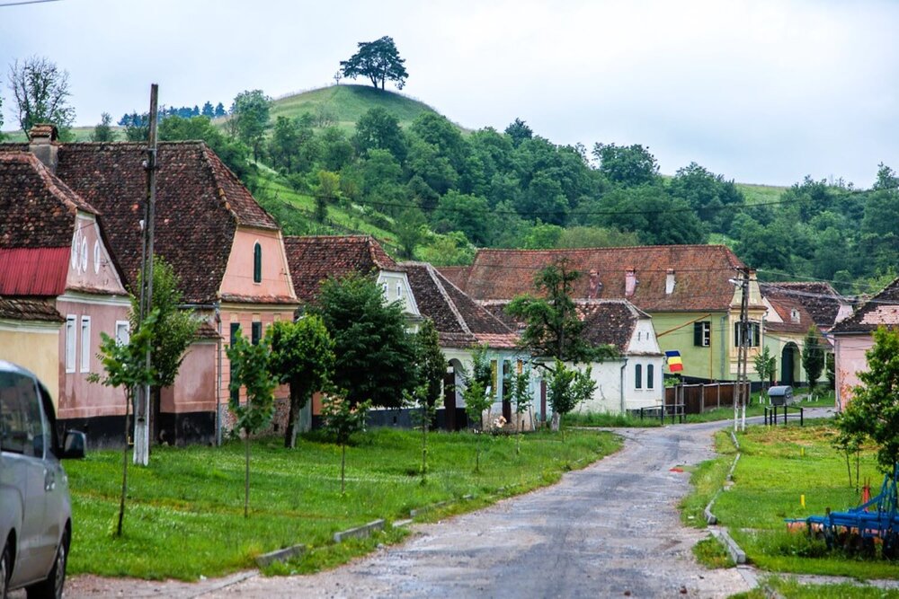 Фотография автора Светлана Парамонова