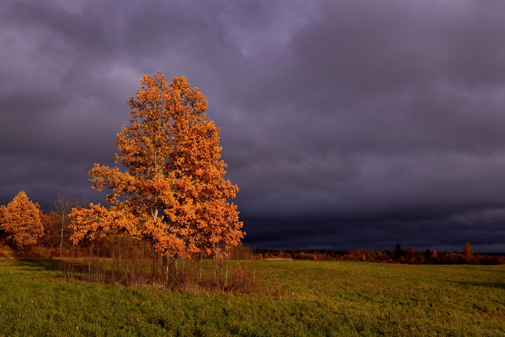 Photograph by Виктория Шажко
