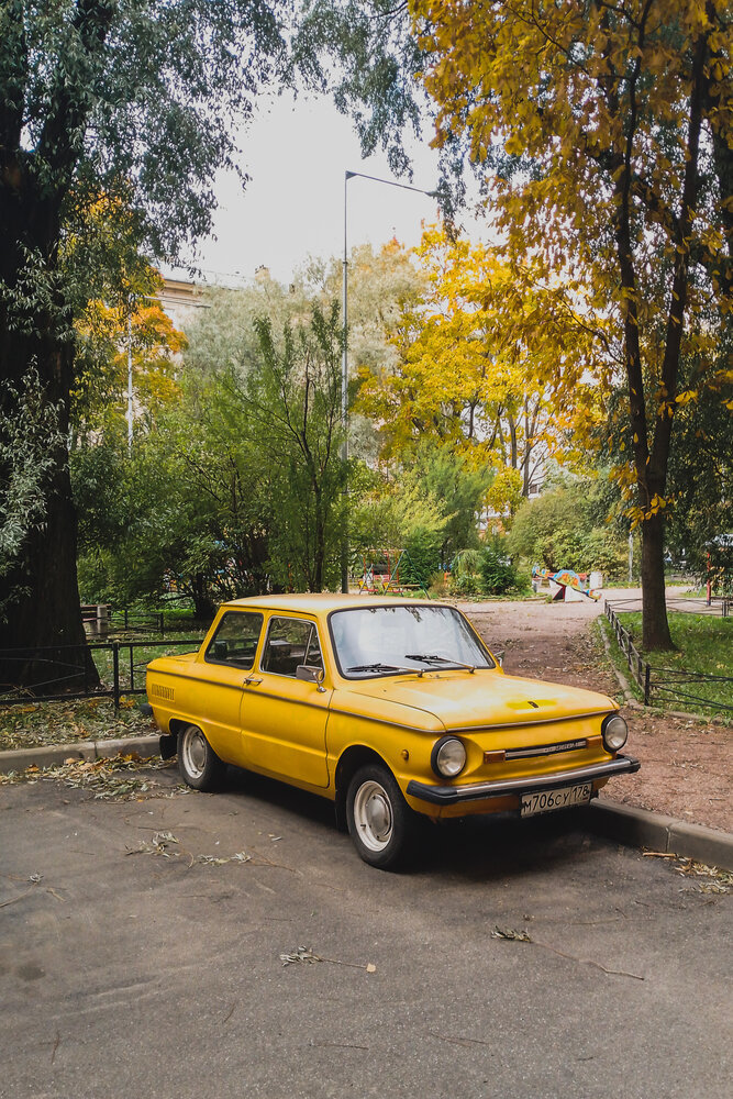 Photograph by Olga Sharikova