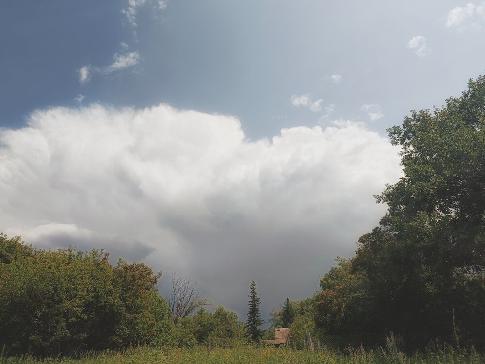 Photograph by Анастасия Чепурнова