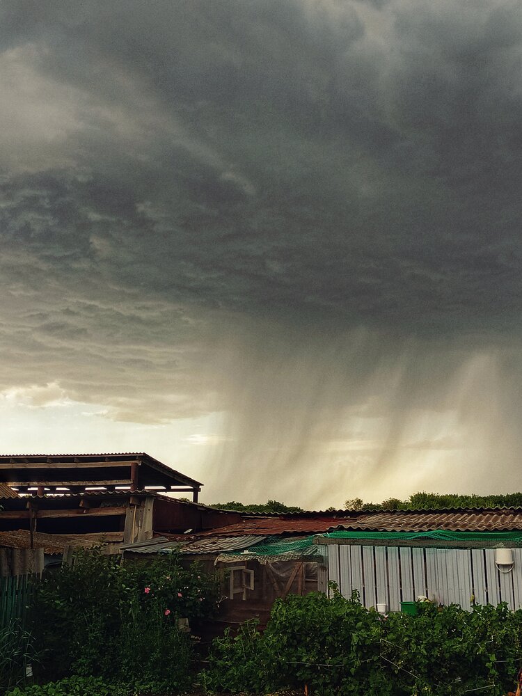 Photograph by Анастасия Чепурнова