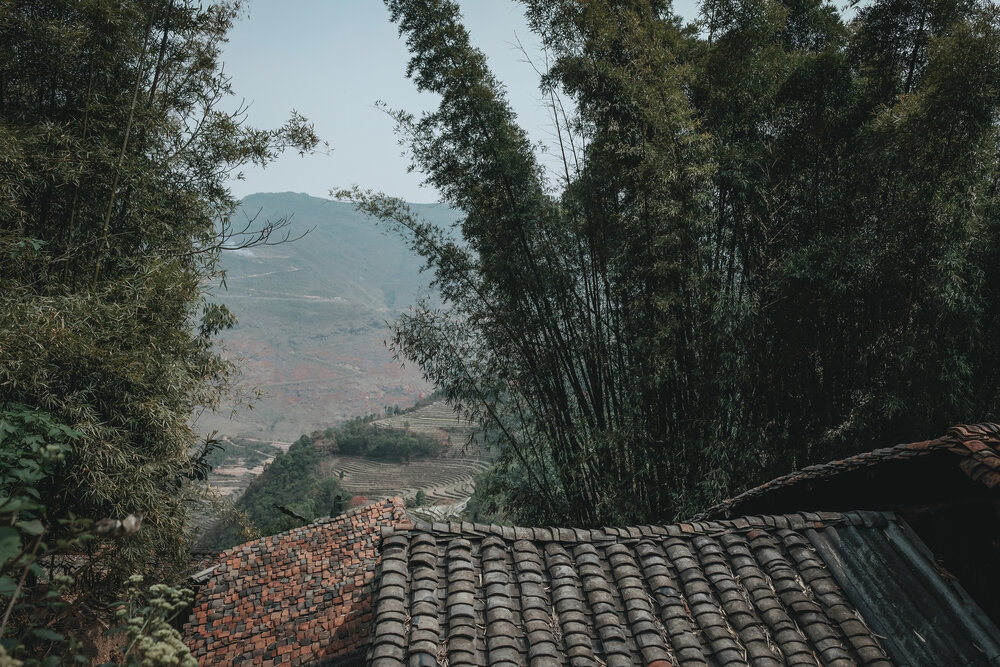 Photograph by Bùi Ngọc Hiếu