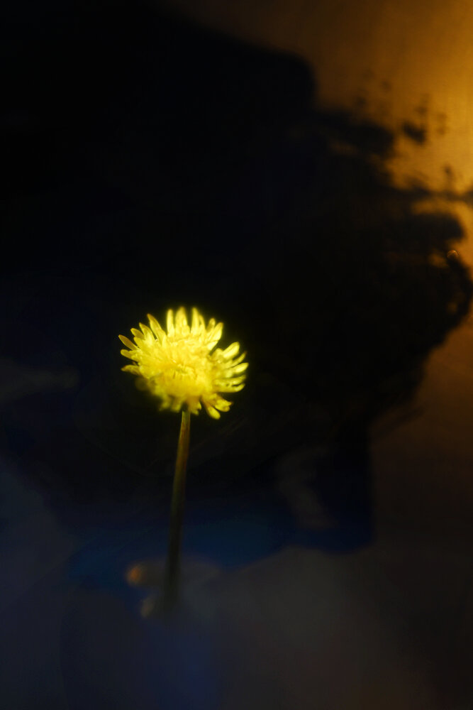 Photograph by Светлана Афанасьева
