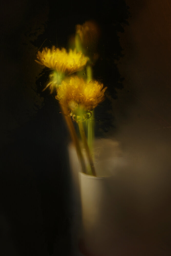 Photograph by Светлана Афанасьева