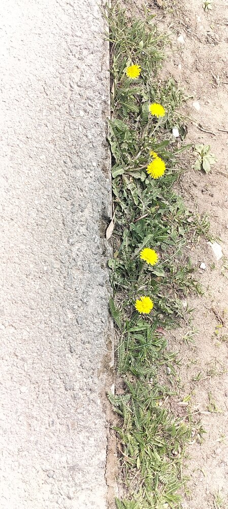 Photo #13799229