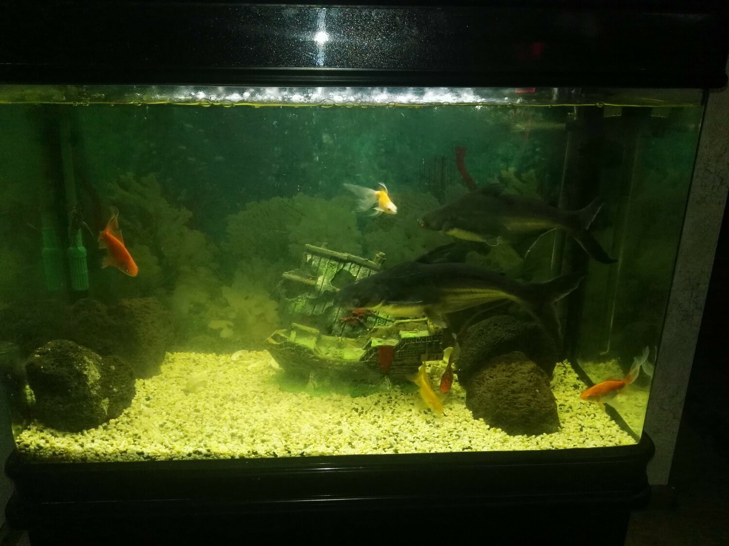 Photo #13799253