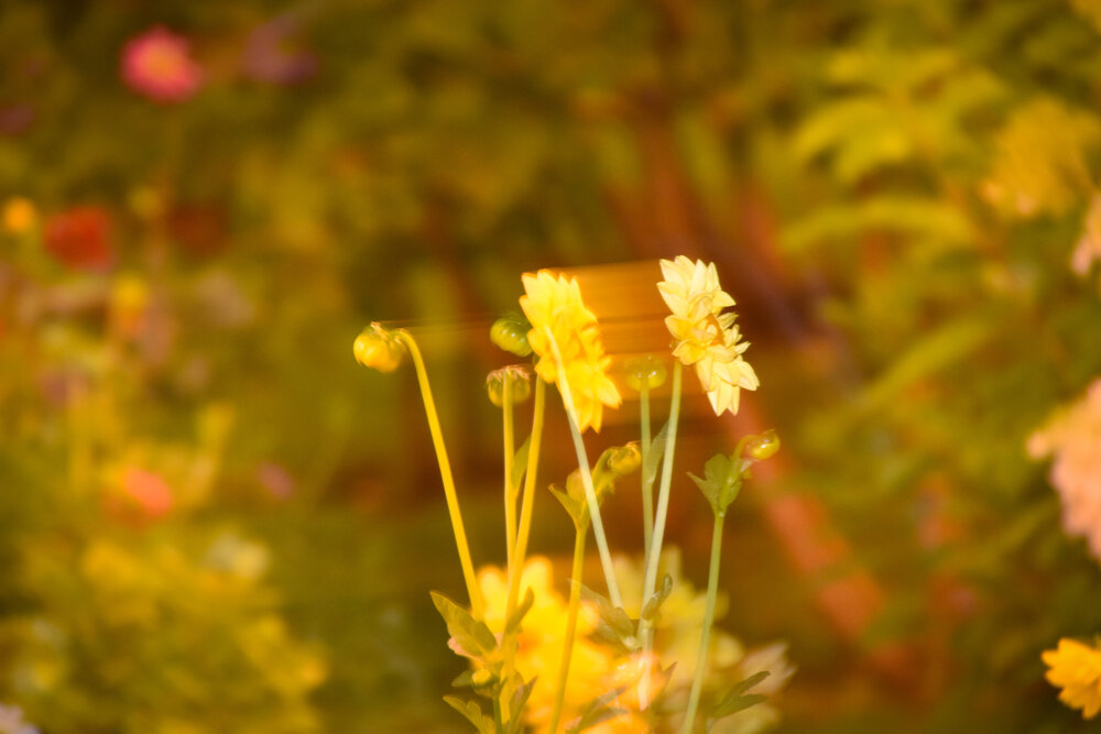 Photo #13799259