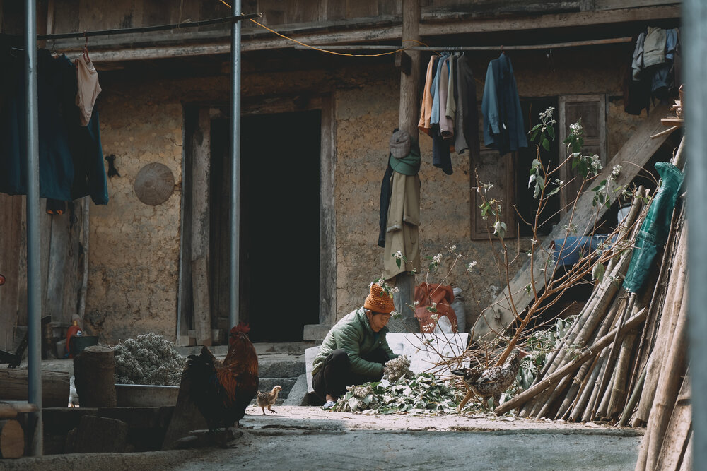 Photograph by Bùi Ngọc Hiếu